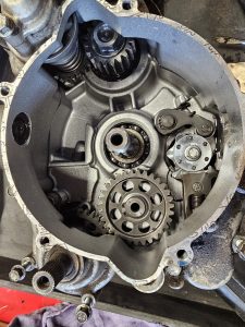 67c3f5da-d2e1-46e1-bad3-4c2f944a1015